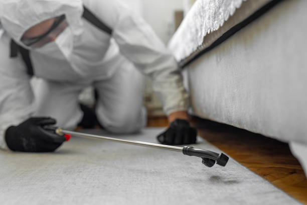 Professional Cockroach Control technician working in Fair Plain, MI