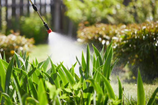 24/7 Emergency Cockroach Control experts in Fair Plain, MI