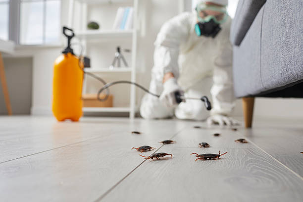 Affordable Cockroach Control solutions in Fair Plain, MI