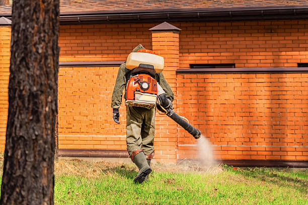 Top rated local Cockroach Control specialists in Fair Plain, MI